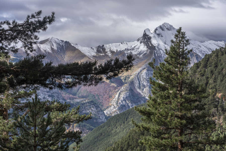 Huesca - parque nacional de Ordesa y Monte Perdido - valle de Ordesa 106 - faja Racon.jpg